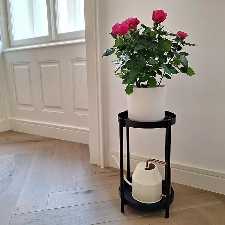 Elegant In The Heart Of Apartamento